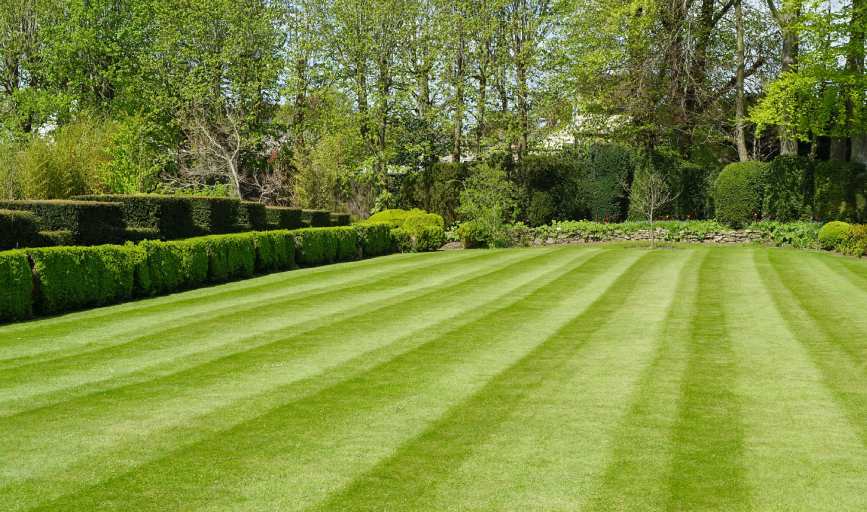LAWN MAINTENANCE